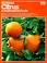 Cover of: All about citrus & subtropical fruits