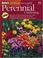 Cover of: Ortho's all about successful perennial gardening