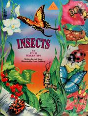 Cover of: Insects by Judy Nayer