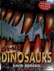Cover of: Life-size dinosaurs