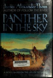 Cover of: Panther in the sky: A Novel