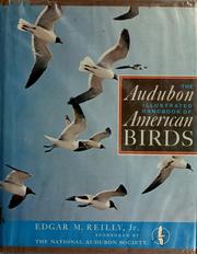 Cover of: The Audubon illustrated handbook of American birds