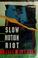 Cover of: Slow motion riot