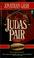 Cover of: Judas pair