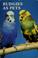 Cover of: Budgies (parrakeets) as pets