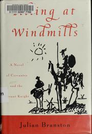 Cover of: Tilting at windmills: a novel of Cervantes and the errant knight