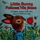 Cover of: Little Bunny follows his nose