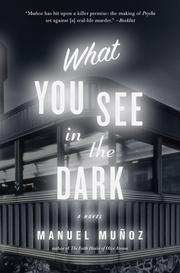 Cover of: What you see in the dark