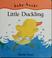 Cover of: Little Duckling