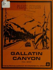 Cover of: The Gallatin Canyon planning study