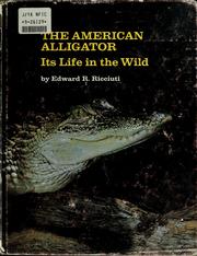 Cover of: The American alligator by Edward R. Ricciuti