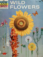 Cover of: The how and why wonder book of wild flowers