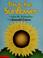 Cover of: This is the sunflower