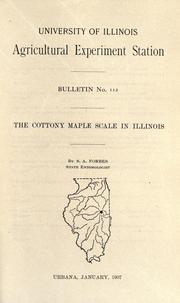 Cover of: The cottony maple scale in Illinois by Stephen Alfred Forbes