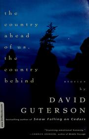 Cover of: The country ahead of us, the country behind: stories
