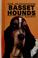 Cover of: Basset hounds