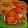 Cover of: The Pudgy bunny book