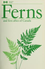 Cover of: Ferns and Fern Allies of Canada (Publication / Research Branch, Agriculture Canada)