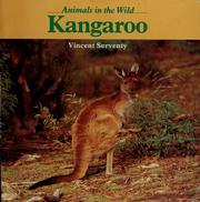 Cover of: Kangaroo by Vincent Serventy