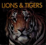 Cover of: Lions & tigers