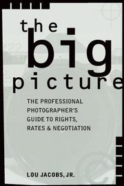 Cover of: The Big Picture: The Professional Photographer's Guide to Rights, Rates & Negotiation