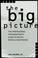 Cover of: The Big Picture