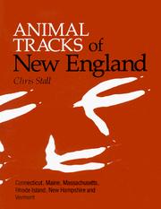 Cover of: Animal tracks of New England: Connecticut, Maine, Massachusetts, Rhode Island, New Hampshire, and Vermont
