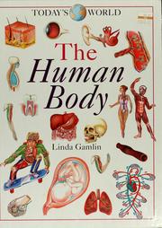 Cover of: The human body (Today's world)