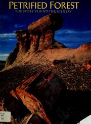 Cover of: Petrified Forest: The Story Behind the Scenery (The Story behind the scenery)