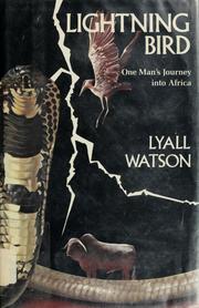 Cover of: Lightning bird by Lyall Watson