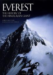 Cover of: Everest by Roberto Mantovani, Kurt Diemberger