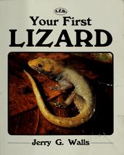 Cover of: Your first lizard