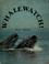 Cover of: Whalewatch!