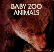 Cover of: Baby zoo animals