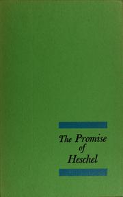 Cover of: The promise of Heschel.