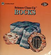 Cover of: Rocks by Lin Bass