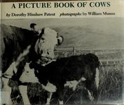 Cover of: A picture book of cows by Dorothy Hinshaw Patent