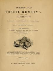 Cover of: A pictorial atlas of fossil remains: consisting of coloured illustrations selected from Parkinson's "Organic remains of a former world," and Artis's "Antediluvian phytology."