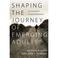 Cover of: Shaping the Journey of Emerging Adults: Life-Giving Rhythms for Spiritual Transformation