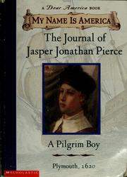 Cover of: A Pilgrim Boy