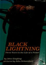 Cover of: Black lightning