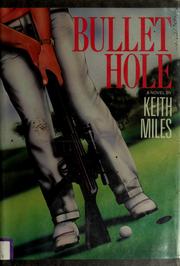 Cover of: Bullet hole: a novel