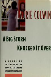 Cover of: A big storm knocked it over: a novel