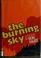 Cover of: The burning sky