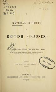 Cover of: A natural history of British grasses