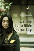 Cover of: Waiting for a wide horse sky: One woman's unexpected story from South Korea. An exhilarating true tale of friendship, danger and the possibility of new beginnings.