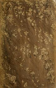 Cover of: Torre de Babel