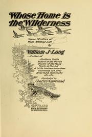 Cover of: Whose home is the wilderness: some studies of wild animal life