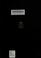 Cover of: Intercolonial aspects of American culture on the eve of the Revolution