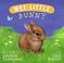Cover of: Wee Little Bunny